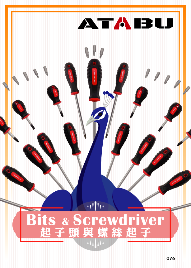 Bits & Screwdriver